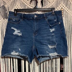 Judy Blue Distressed Jean Shorts 2X
